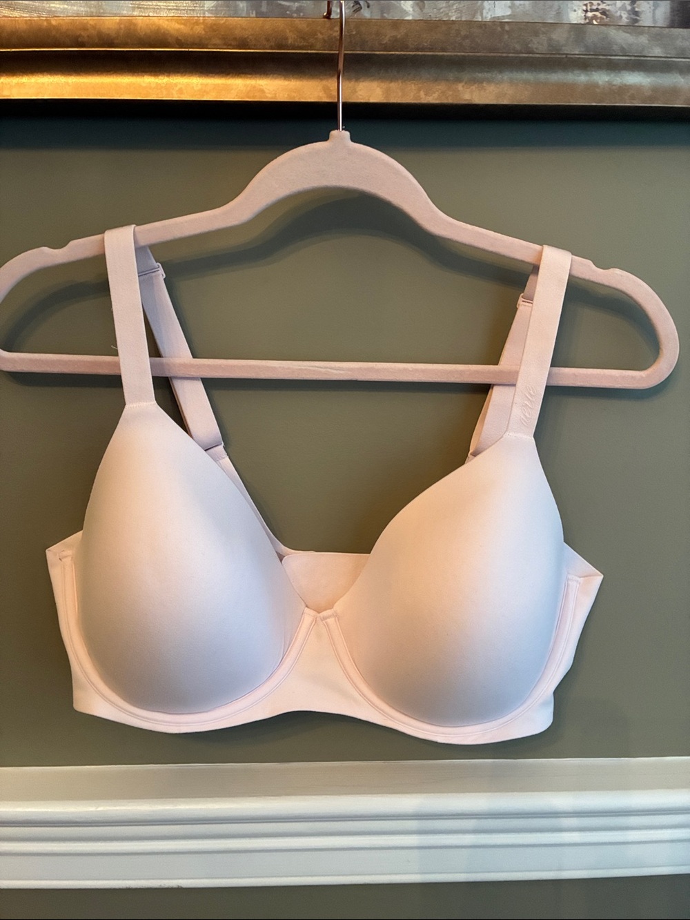 Aerie Light Pink Seamless T-Shirt Bra Size 36DD